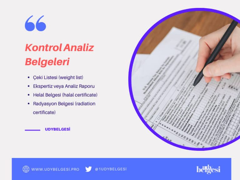 Kontrol Analiz Çeki Listesi