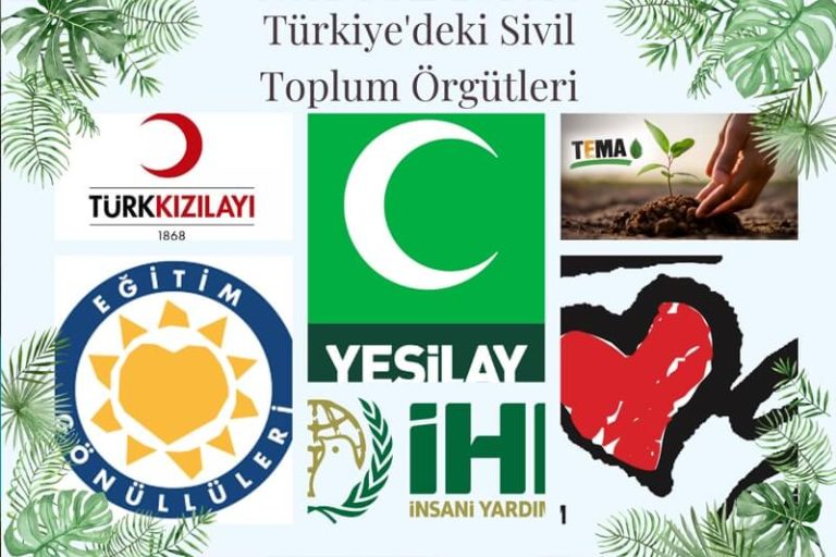 Türkiye'de Sivil Toplum Örgütleri